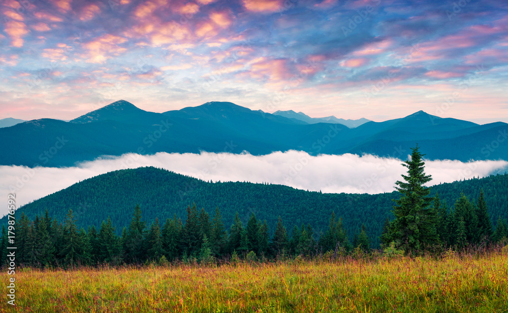 Colorful summer sunrise in the Carpathian mountains