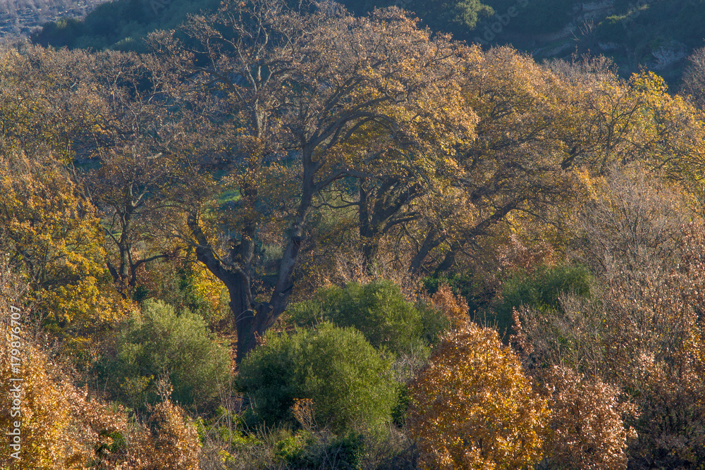 Autumn hills Autumn hills