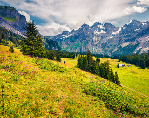 Sunny summer view of thmountain valley from the Oeschinen Lake. © Andrew Mayovskyy