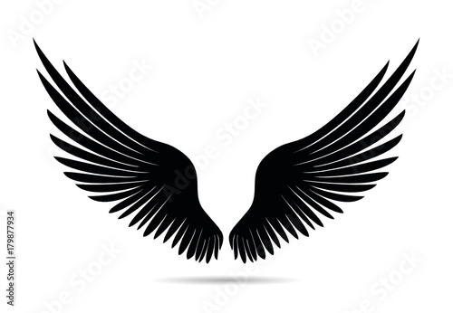 Silhouette wings. Vector illustration on white background. Black and white style © gala2205