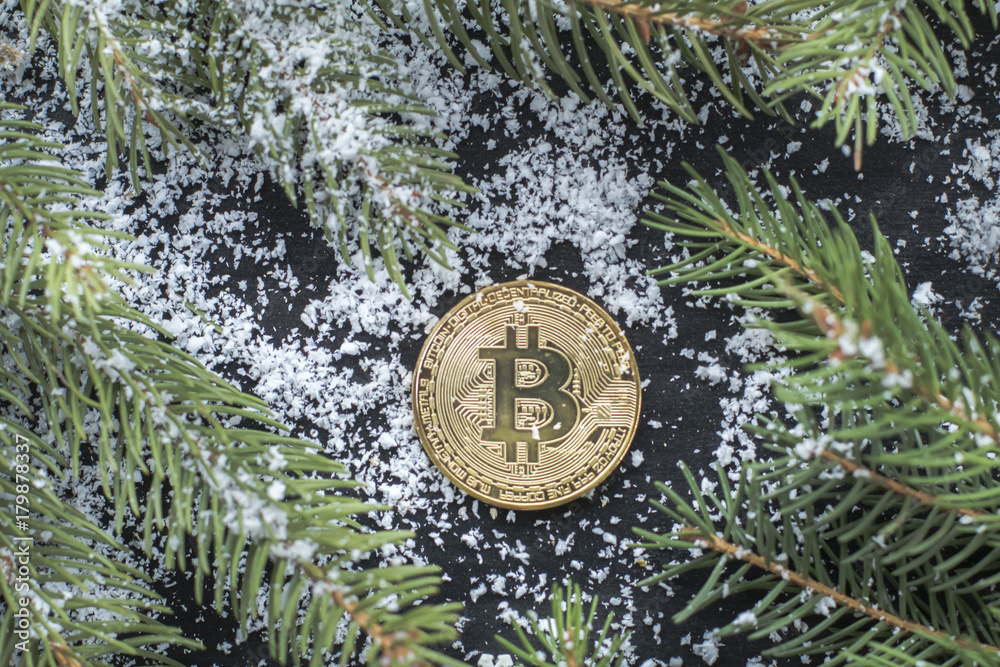 Golden Bitcoin Virtual Money Cryptocurrency Holiday Unusual Gift Xmas Snowflakes Copy Space
