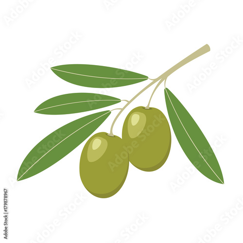 Olives. Green olives with green leaves. Vector illustration.