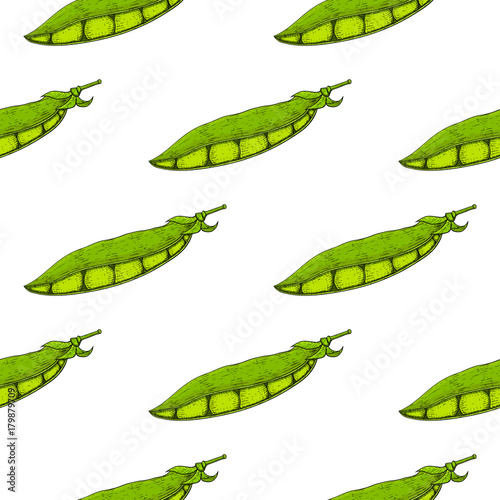 Green peas. Hand drawn sketch. Seamless pattern