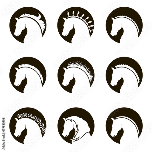 monochrome collection of horse heads with different manes