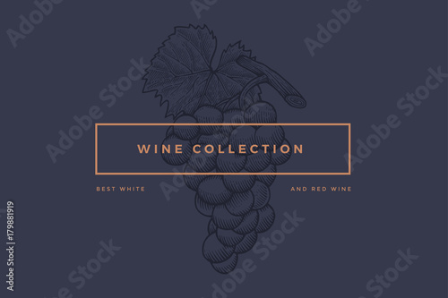 Logo template for design of wine card, booklet, menu for restaurant or bar with inscription "Wine collection: Best red and white wines". Bunch of grapes on dark blue background. Vector illustration.