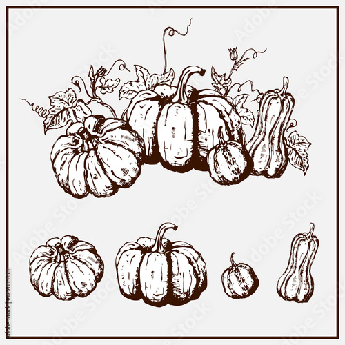 Painted pumpkins