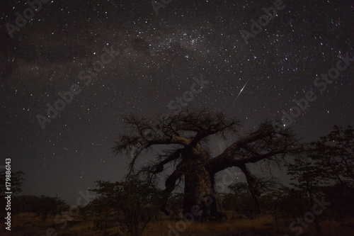 Baobab tree under the milkyway at Kukonje Island
