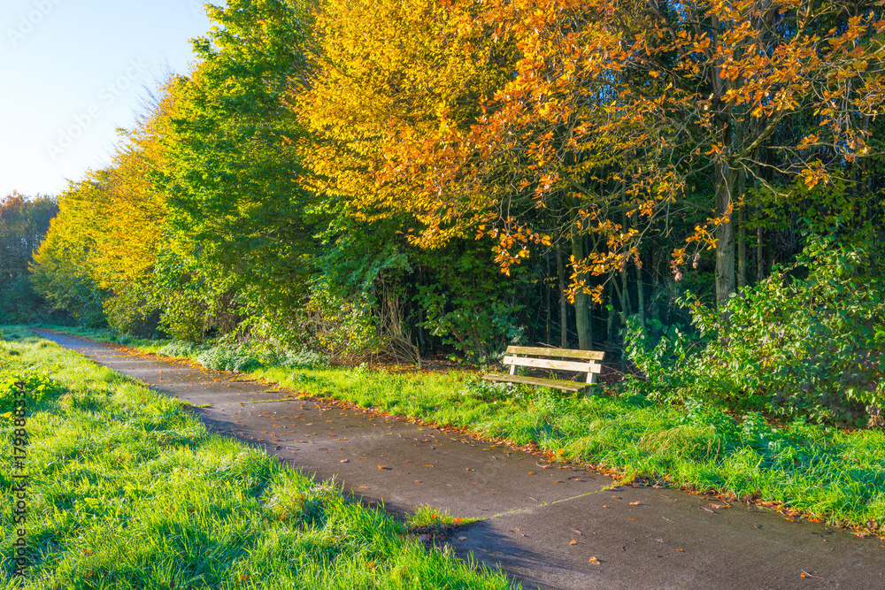 Naklejka premium Path through a field along trees in sunlight at fall