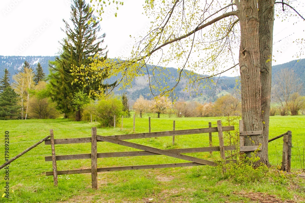 Farm Fence