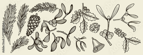 tradition Christmas decoration plants