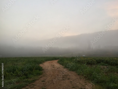 foggy morning raod on the farm