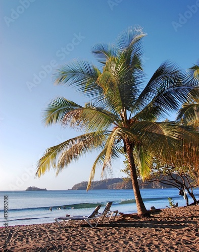 Fototapeta Naklejka Na Ścianę i Meble -  Palm tree and beach