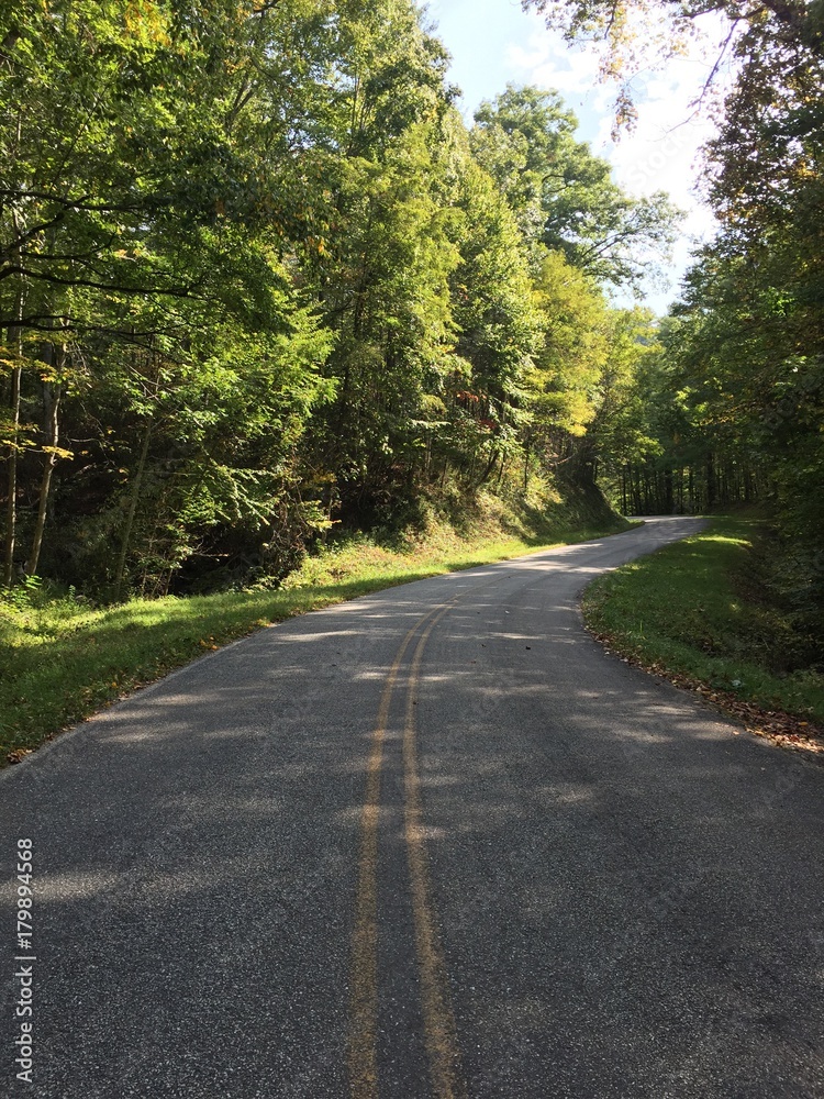 Fototapeta premium windy country road