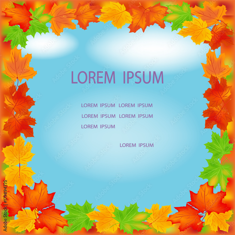 Frame of autumn leaves. Bright autumn maple leaf. Yellow and red autumn ...