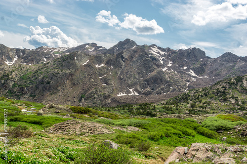 Rocky Mountain Landscape