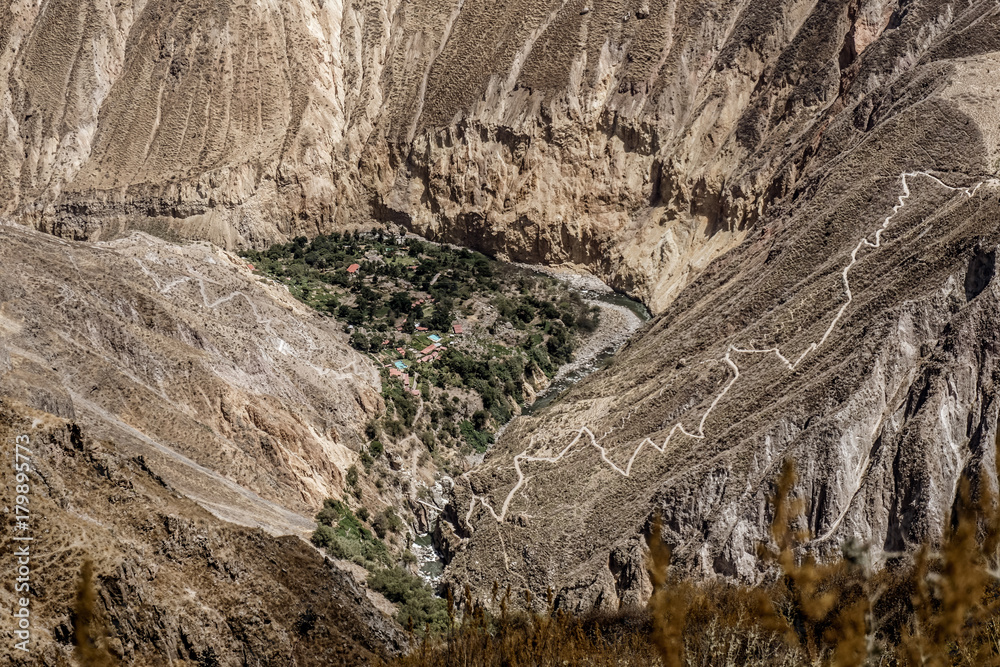 Naklejka premium Colca Canyon, Peru