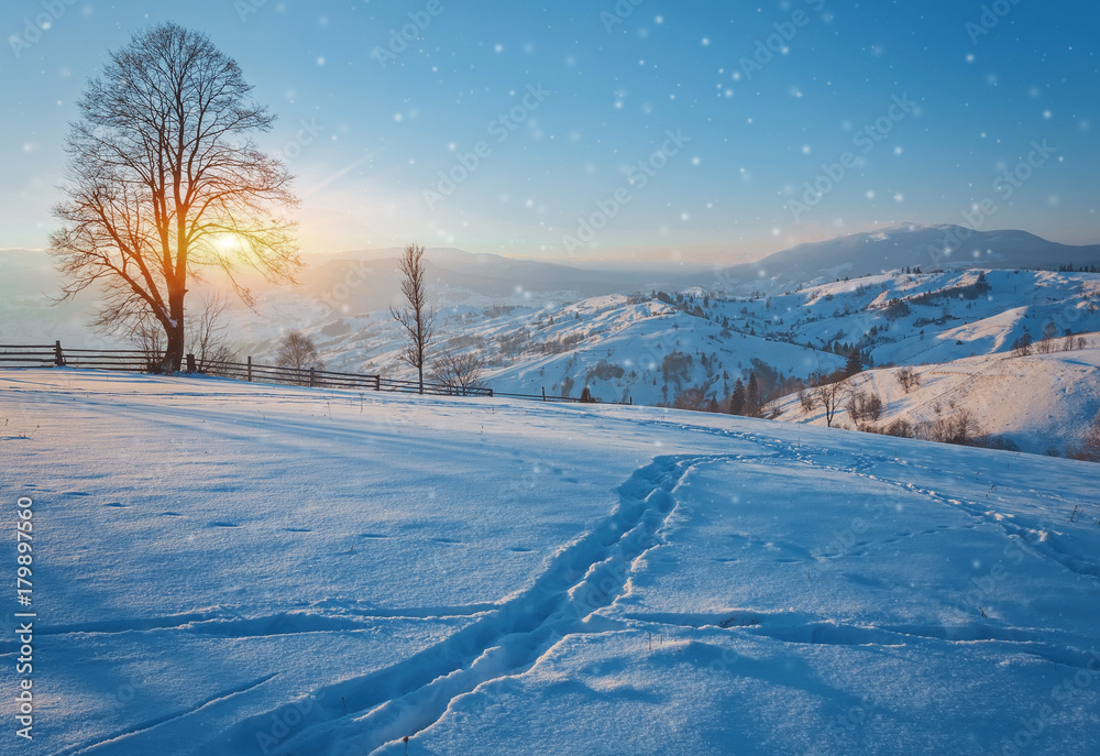 Winter landscape with lots of snow and trees