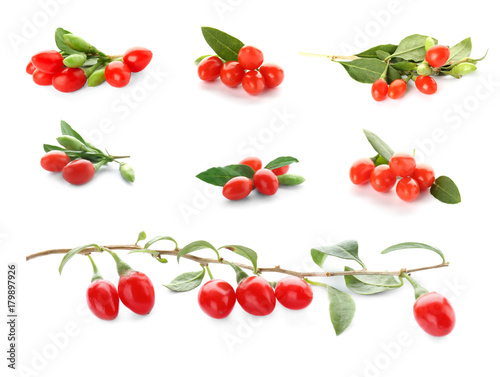 Collage with goji berries on white background