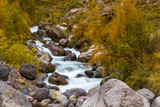 Mountain stream autumn