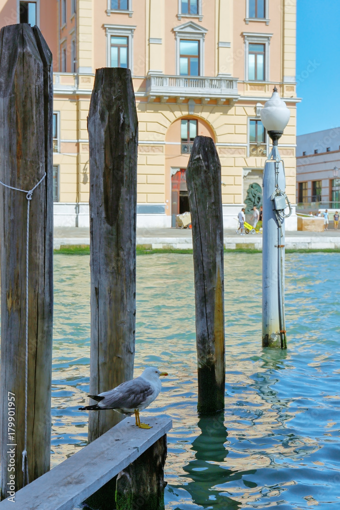 Seafront Grand Canal in Venice Seafront Grand Canal in Venice