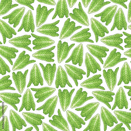 background pattern with lettuce 