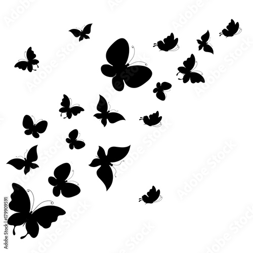 black butterfly, isolated on a white © aboard