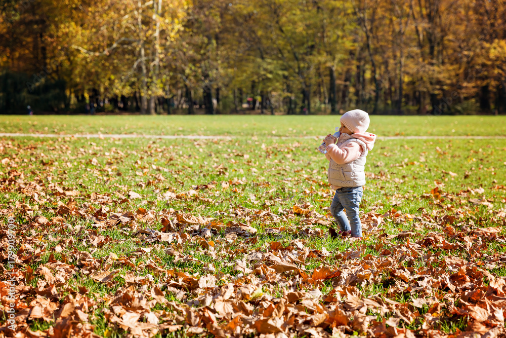One and a half year old baby girl standing in the meadow covered with fallen leaves, drinking water from the bottle One and a half year old baby girl standing in the meadow covered with fallen leaves, drinking water from the bottle