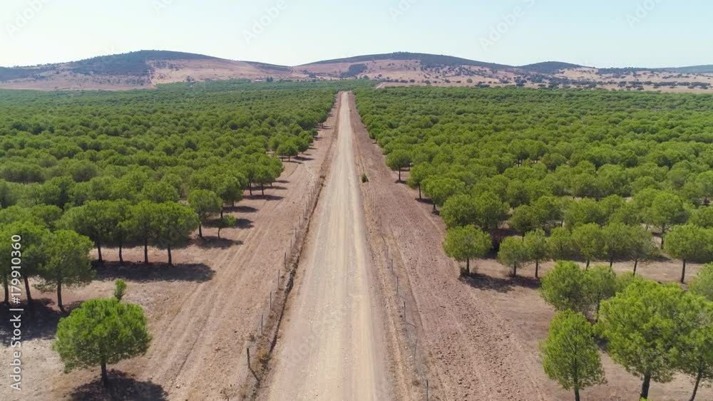 Aerial View Dirt Road in Rural Landscape Alentejo, Portugal Aerial View Dirt Road in Rural Landscape Alentejo, Portugal