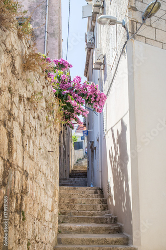 Fototapeta Naklejka Na Ścianę i Meble -  narrow alley with flowers