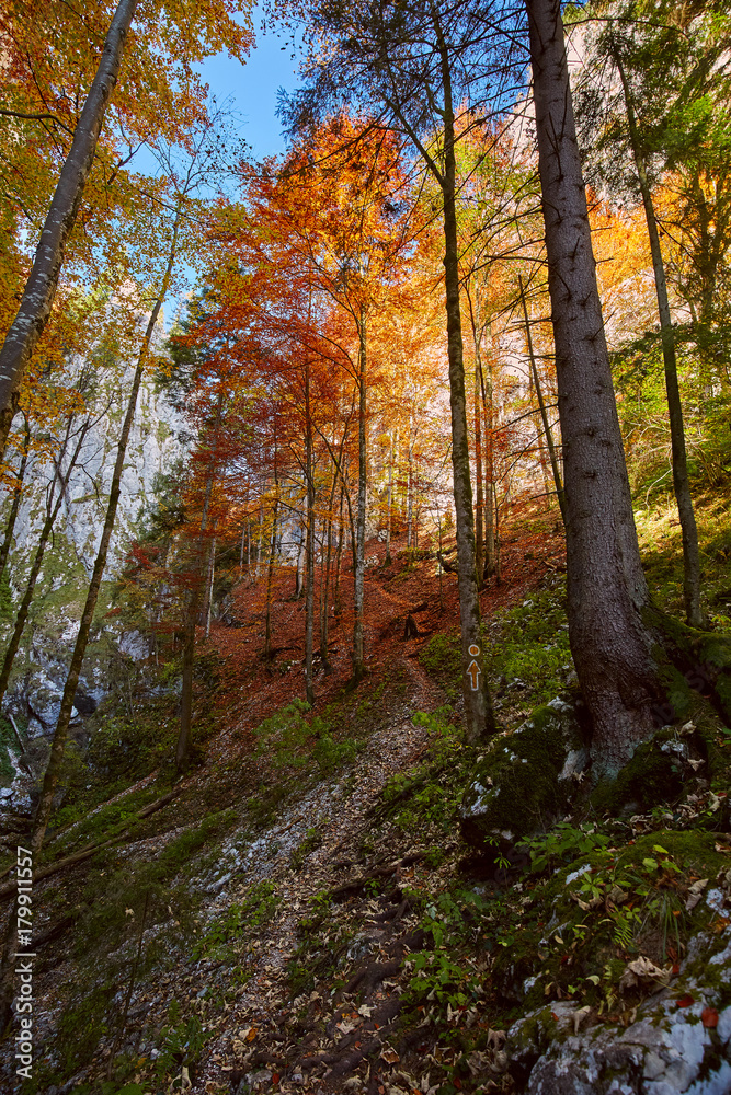 Autumnal landscape with hiking trail
