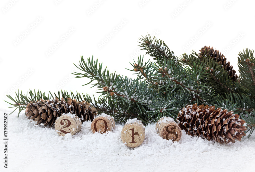 Bottle cork, pine and cones isolated on a white background
