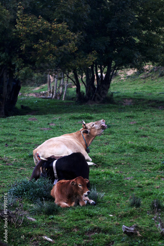 Navarre beautiful autumn landscapes in Spain. Travel Europe. Tourism Spain.