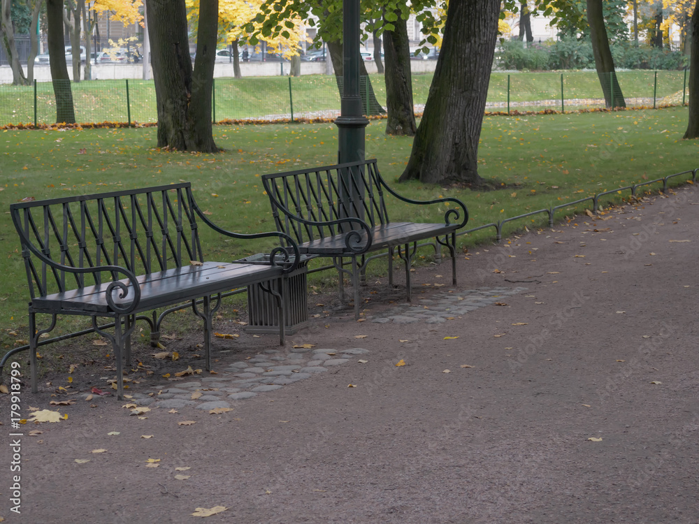 Alley with benches in the autumn city park