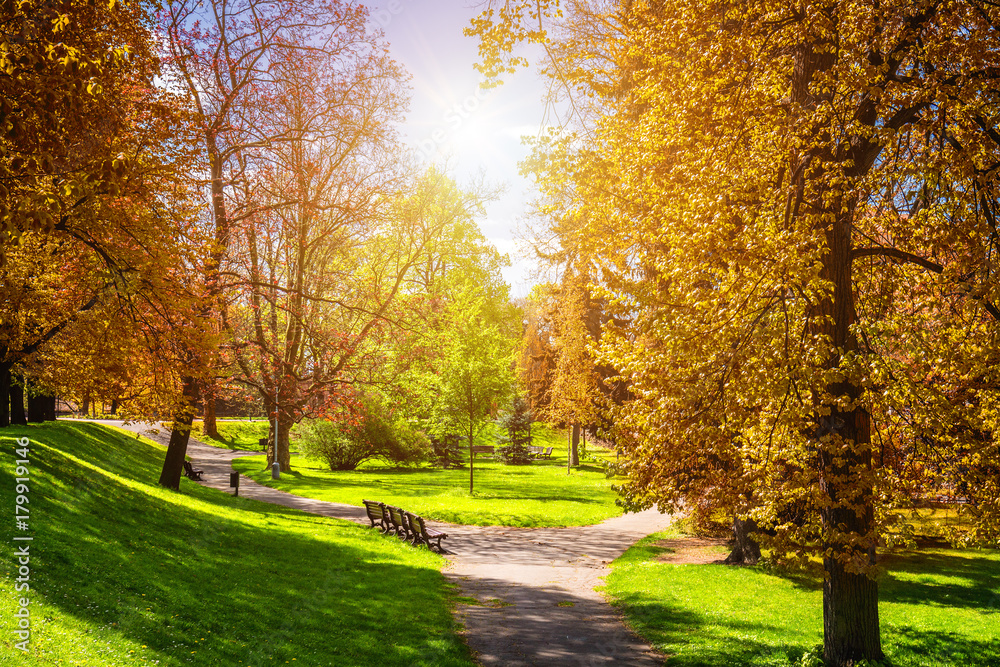 Magical autumn park with path and fantastic glow, fairytale landscape with red foliage