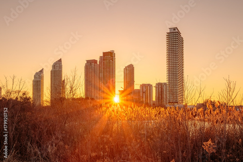 Canvas Print View of an outdoor park with Toronto city building as background