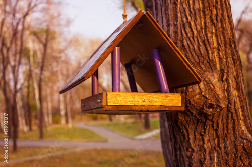 A bird feeder in the city park. photo