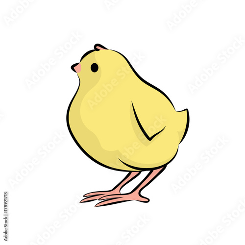 Cute Little Chick. Vector Illustration Of A Baby Chicken.Front View.