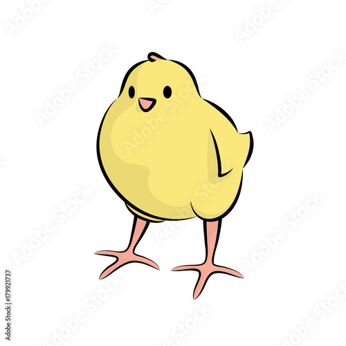 Cute Little Chick. Vector Illustration Of A Baby Chicken.Front View.