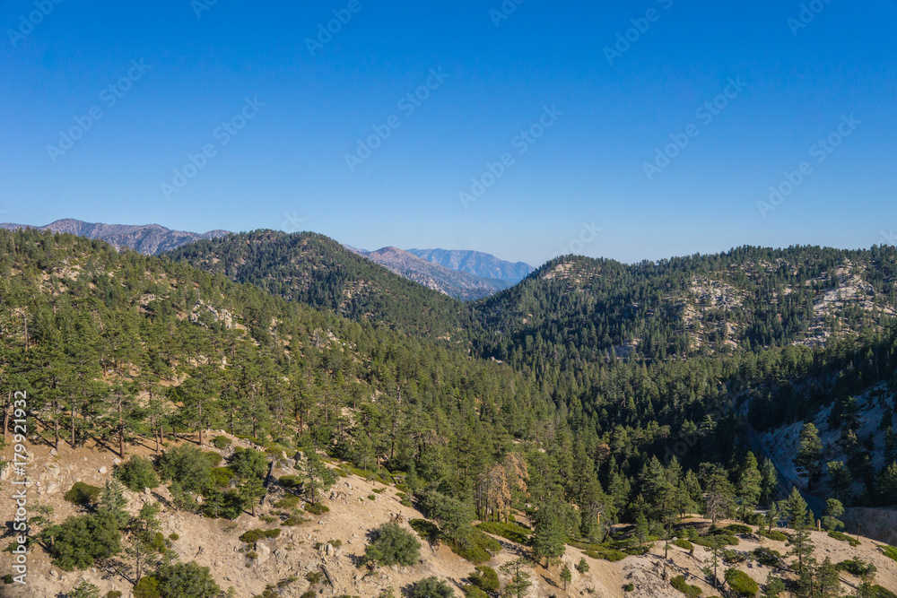 Mountaintops in southern California covered with evergreen trees into the distance.