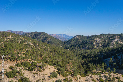 Mountaintops in southern California covered with evergreen trees into the distance.