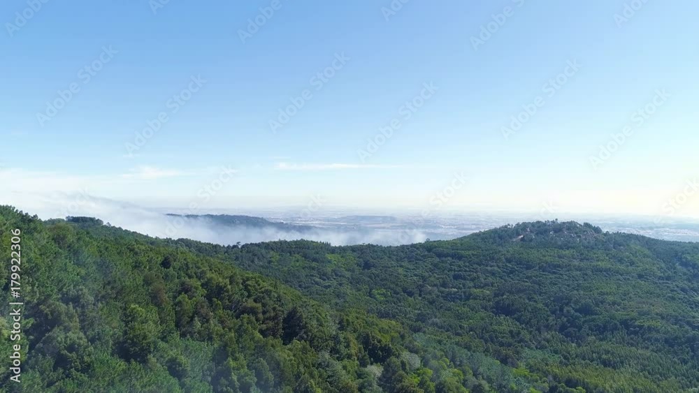 Aerial View of the Mountain Forest with Fog, Sintra Portugal Aerial View of the Mountain Forest with Fog, Sintra Portugal