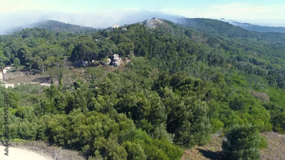 Aerial View of the Mountain Forest with Fog, Sintra Portugal Aerial View of the Mountain Forest with Fog, Sintra Portugal