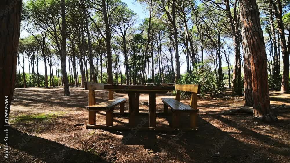 Wooden table in a pine wood in Sardinia, Italy Wooden table in a pine wood in Sardinia, Italy