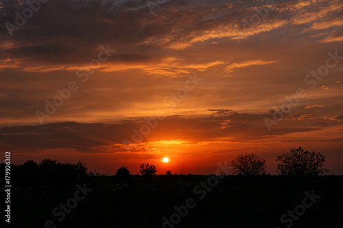 Orange glow sky sunset in the field