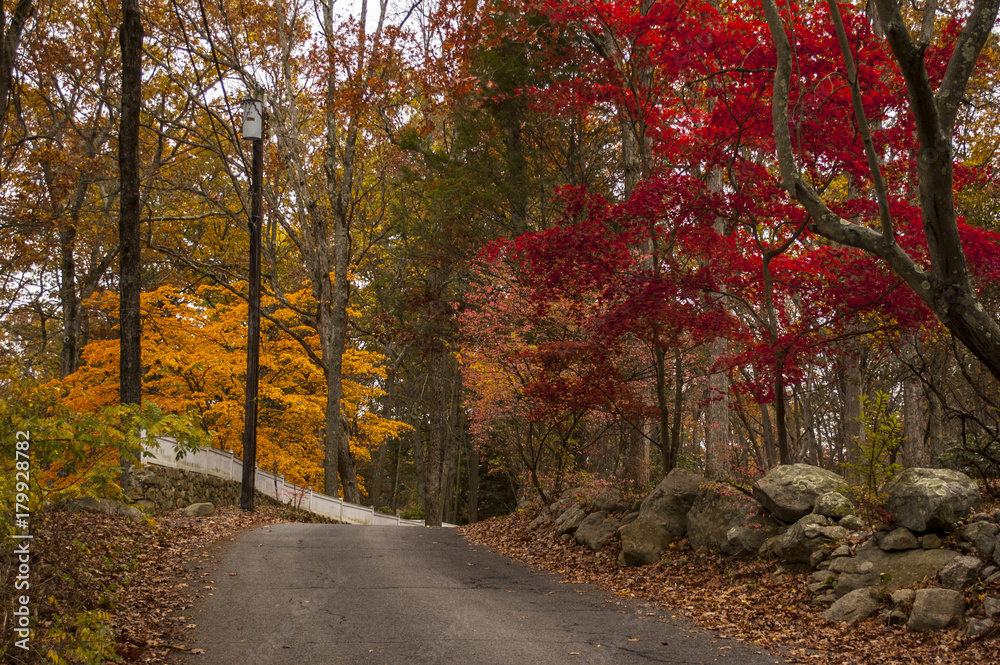 Fototapeta premium Autumn in New England