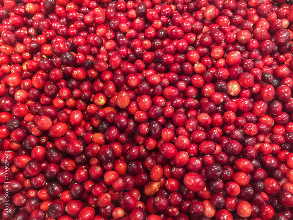 large amount of fresh red cranberries at the market large amount of fresh red cranberries at the market