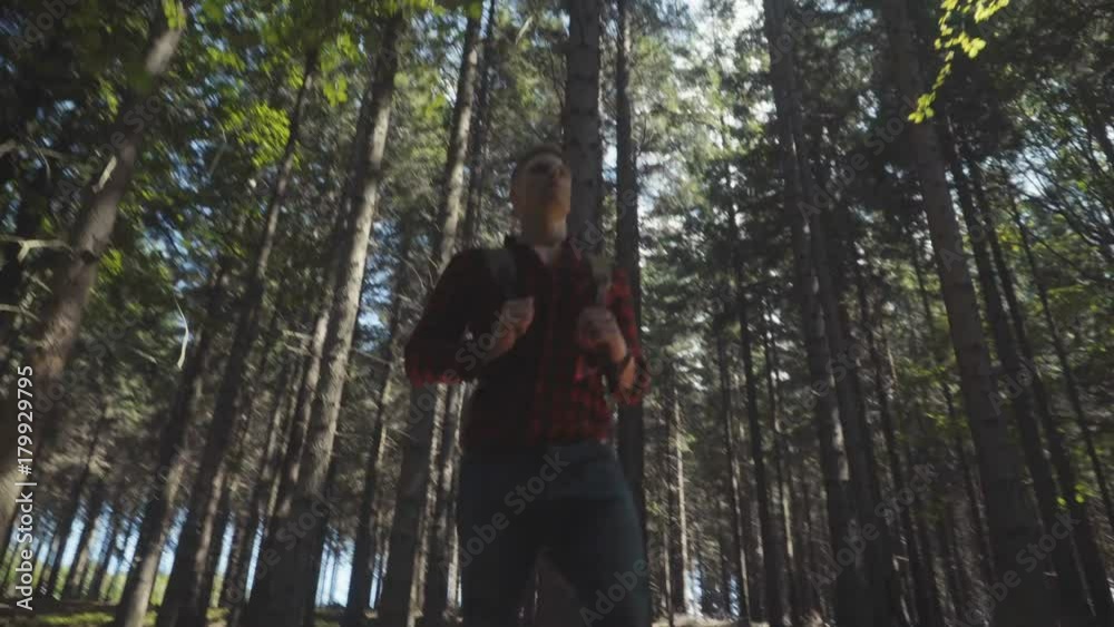 Handsome man walking in the forest. Adventure, travel, tourism and leisure concept - young boy relaxing in woods. Handsome man walking in the forest. Adventure, travel, tourism and leisure concept - young boy relaxing in woods.