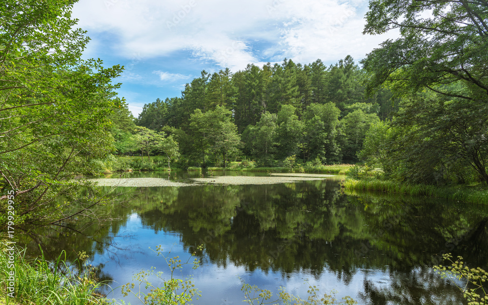 戸隠　小鳥ヶ池の風景