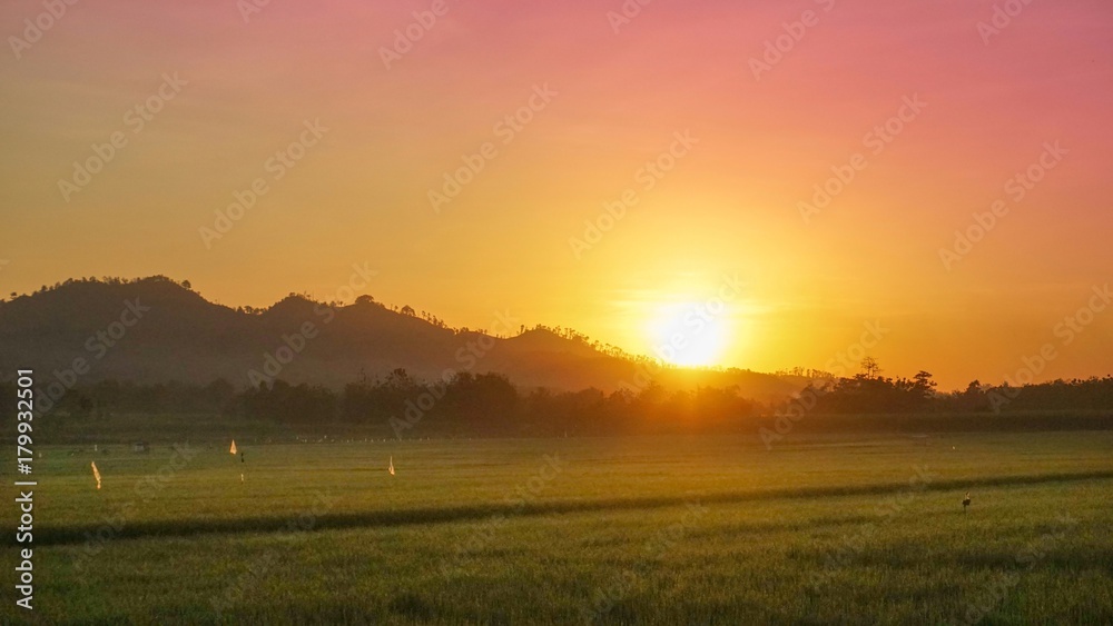 sunrise in the hill with rice field
