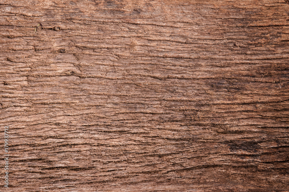 Old wood texture background Old wood texture background